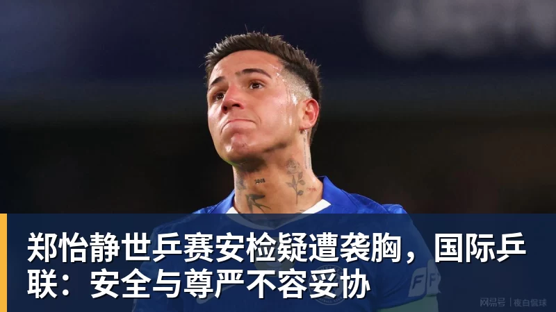 郑怡静世乒赛安检疑遭袭胸，国际乒联：安全与尊严不容妥协
